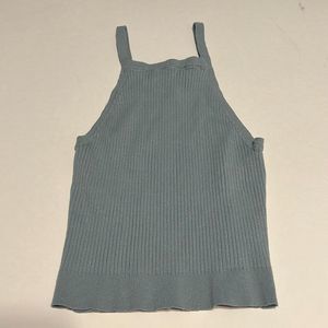 Brandy Melville Crop Top